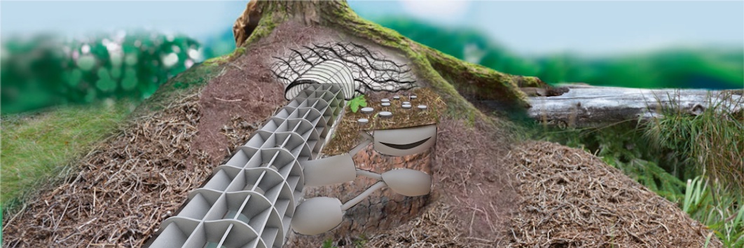 BAU 2015 — Modeling Step 04